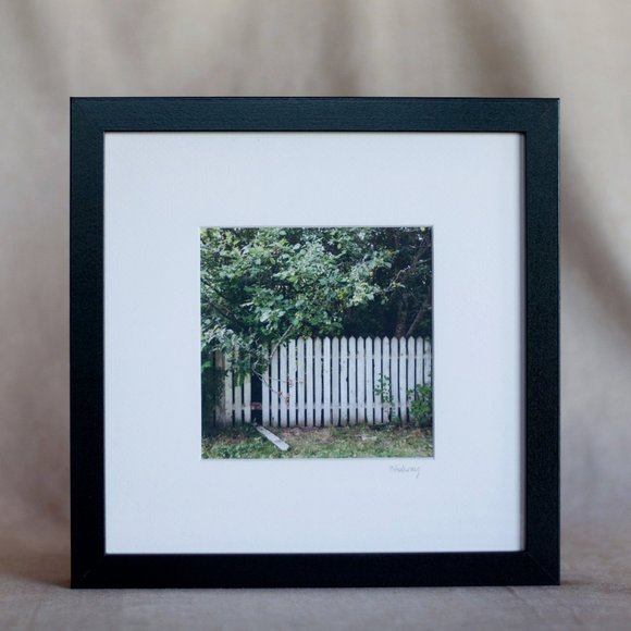 "Apple Harvest #2" Framed Photography Print - Picture 1 of 5